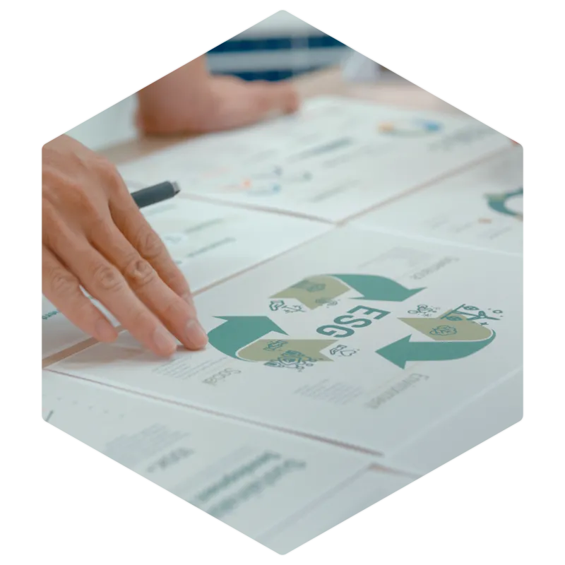 Sustainability-repoting