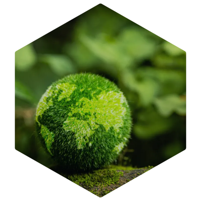 Sustainability-Photo-Green-Planet