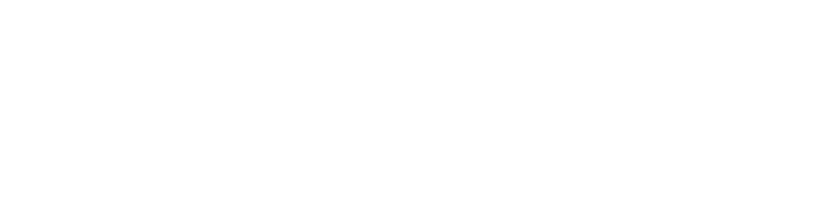 Logo-informatica-white
