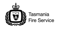 LogoTFS
